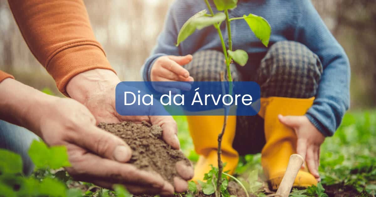 Comemore o dia da árvore: Benefícios das espécies de árvores para nossas vidas