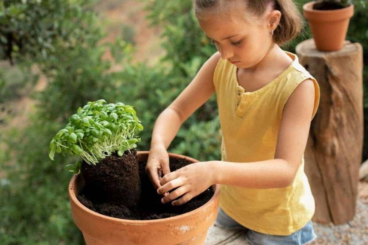 Projetos Horta na Escola que transforma espaços educacionais